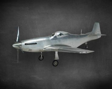 Modellflugzeug Mustang Seitenansicht