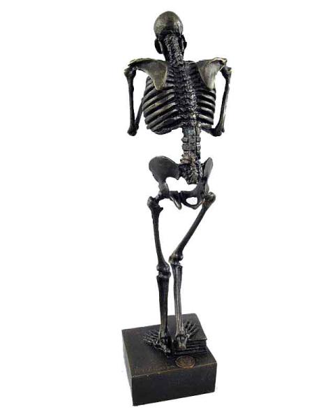 Skelett mit Schädel hinten